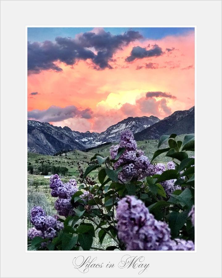 Pine Creek Cabin Livingston Montana Екстер'єр фото