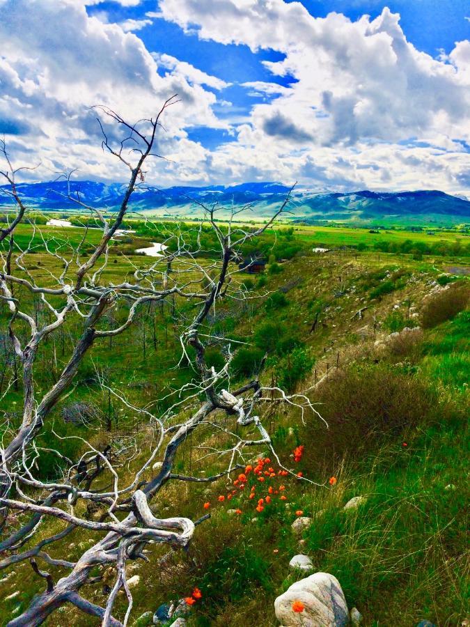 Pine Creek Cabin Livingston Montana Екстер'єр фото