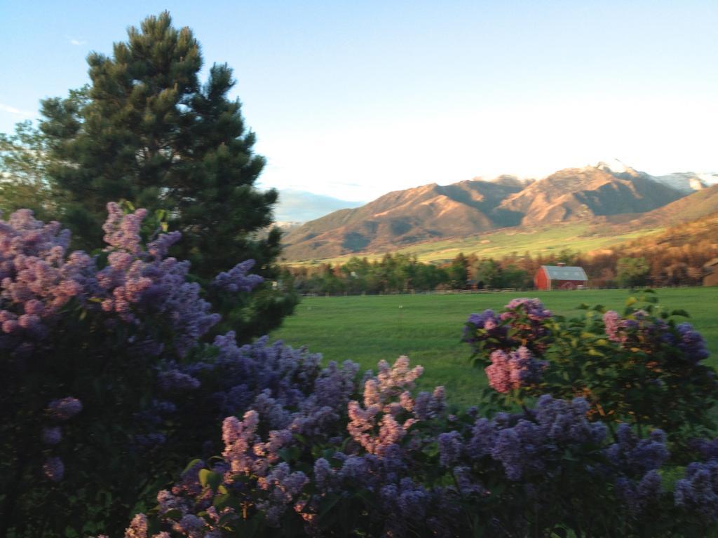 Pine Creek Cabin Livingston Montana Екстер'єр фото