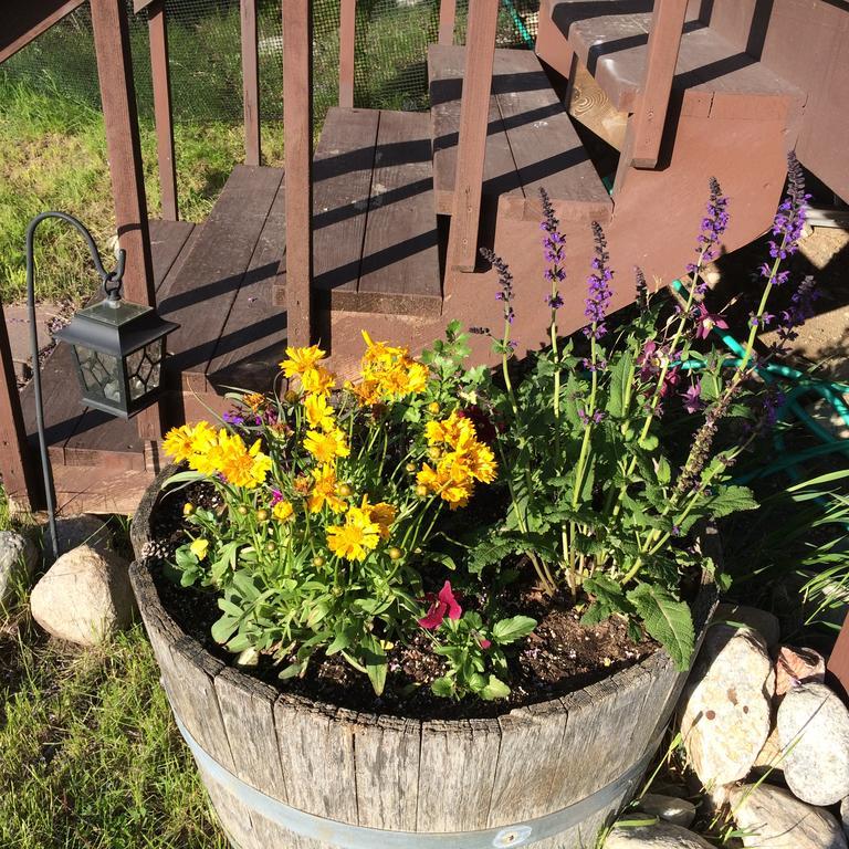 Pine Creek Cabin Livingston Montana Екстер'єр фото