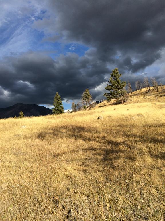 Pine Creek Cabin Livingston Montana Екстер'єр фото