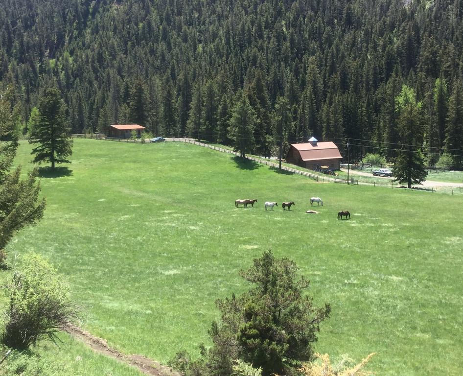 Pine Creek Cabin Livingston Montana Екстер'єр фото